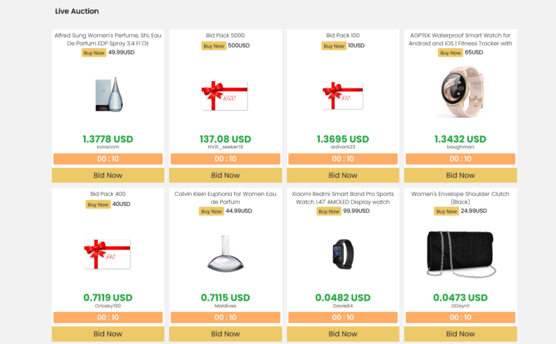 Penny Auction Style eCommerce Business For sale